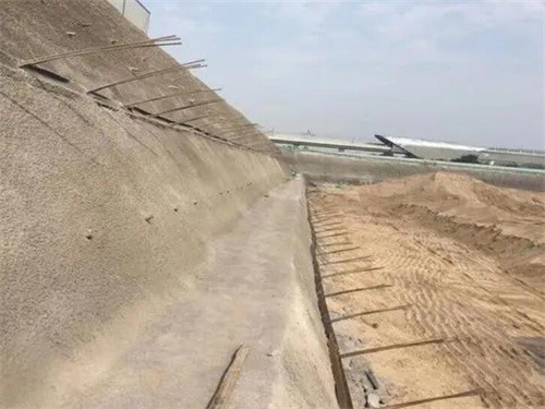 泰来河道边坡加固